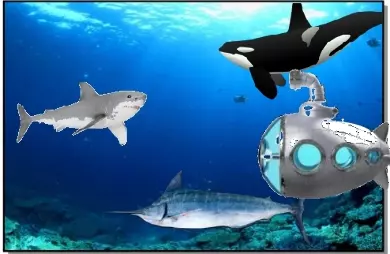Окружающий мир  3 класс. Под волной. Весна 2024